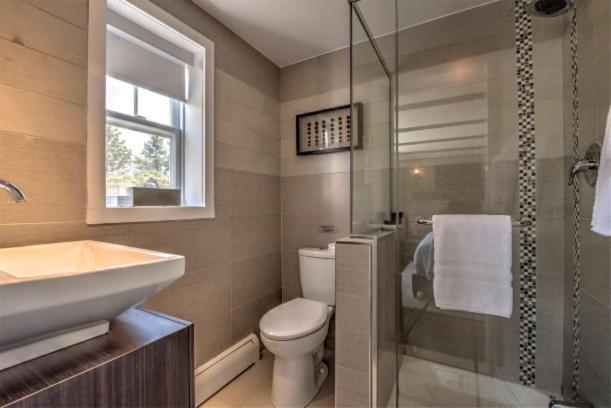 Auberge Sous L'Edredon B&B Saint-Sauveur Ngoại thất bức ảnh